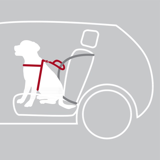 Bilsele Dog Protect - Svart