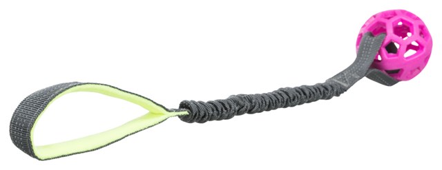 Bungee Tugger Med Boll - Kampleksak