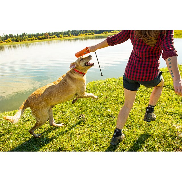 Headwater Collar