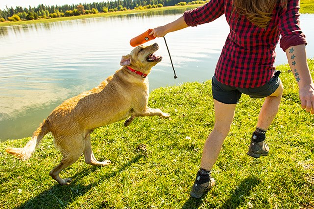 Headwater Collar
