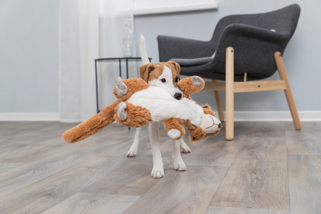 Surikat 40 cm - Mjuk Hundleksak Med Pip