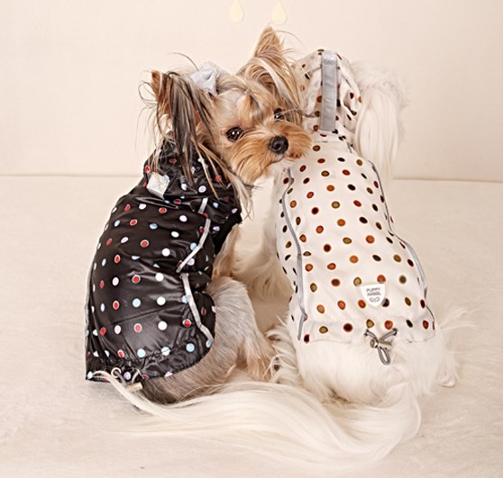 BIMANE - URBAN OUTDOOR Vest Dot Print
