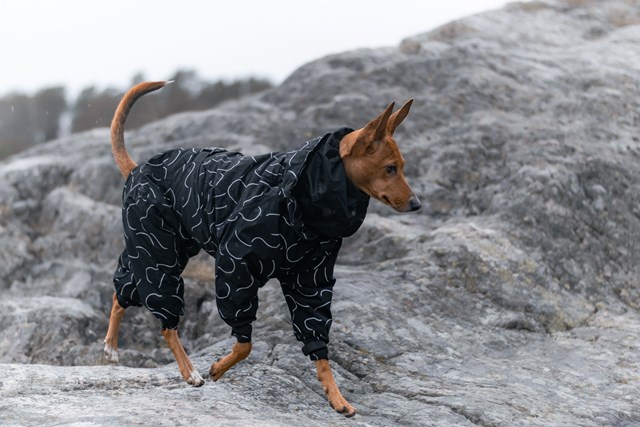 Paikka Winter Suit - Reflekterande vinteroverall - svart