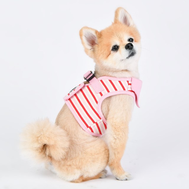 Seaman Pink - Jacket Hundsele