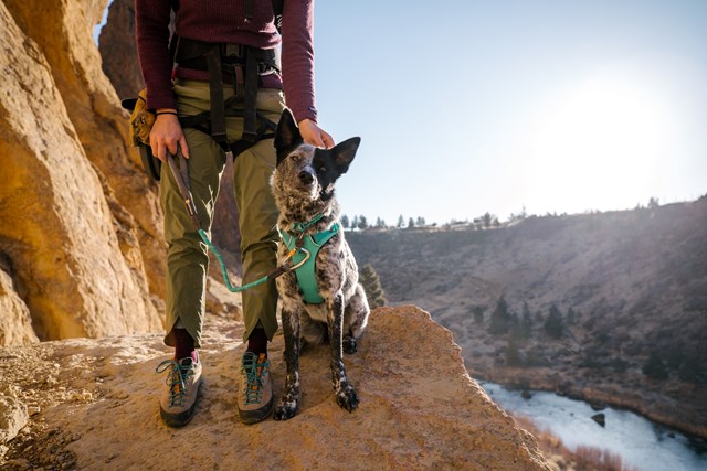 Front Range Sele - AURORA TEAL