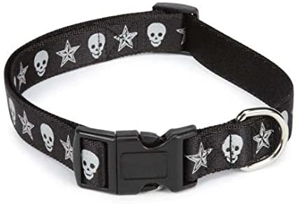 CC Outlaw Halsband - XL