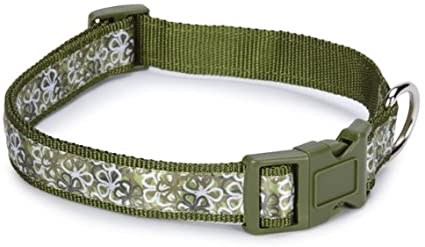 Carolina Hundhalsband - Grön XL