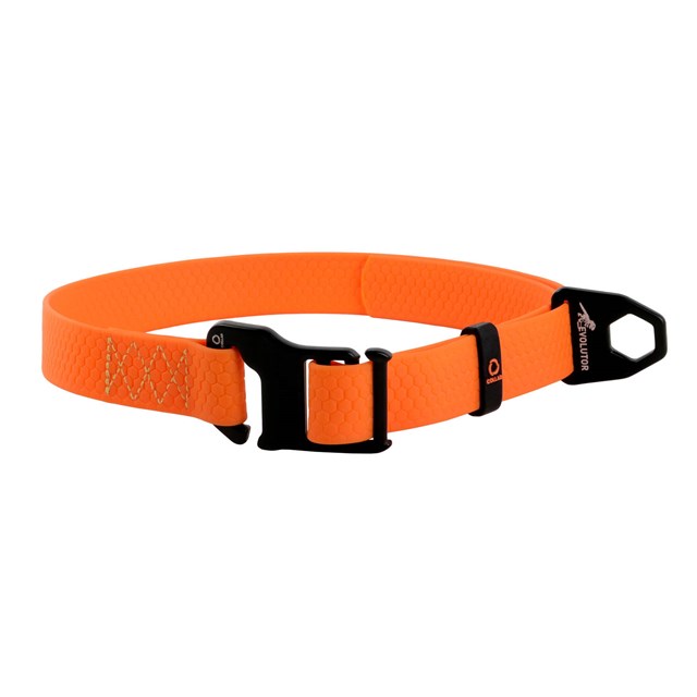WAUDOG Evolutor Orange - Hundhalsband One Size