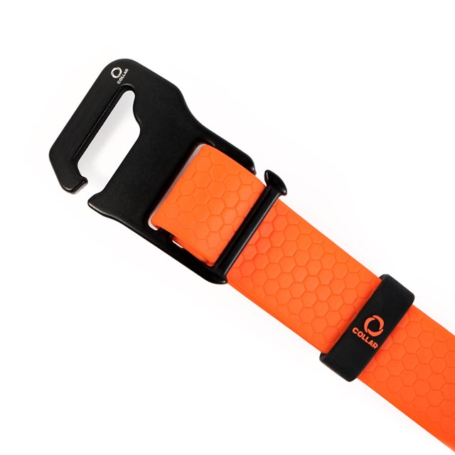 WAUDOG Evolutor Orange - Hundhalsband One Size