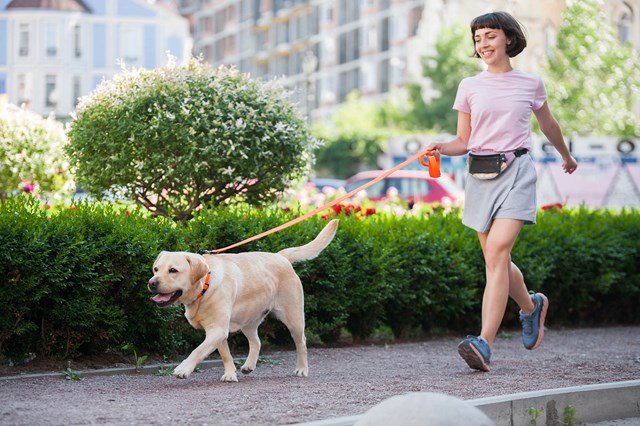 WAUDOG Evolutor - 210 cm Hundkoppel Orange