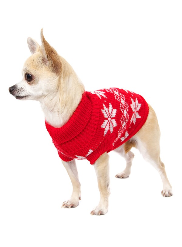 Red Snowflake Röd - Stickad Hundtröja