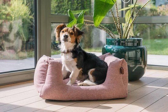 Fantail Snooze Ortopedisk Hundbädd - Iconic Pink