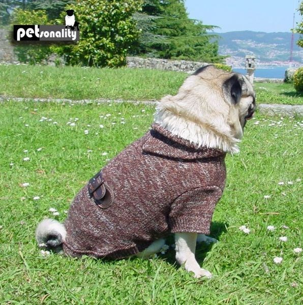 Petsonality Jersey Sweater