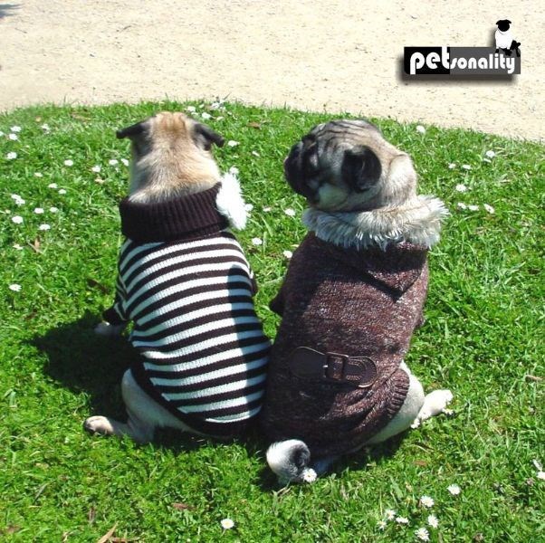 Petsonality Jersey Sweater