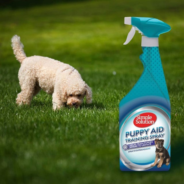 Träningsspray För Valp - 500 ml