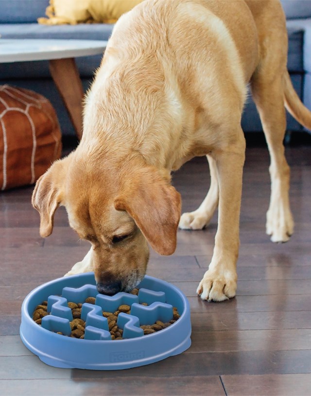 Outward Hound Fun Feeder Matskål Blå