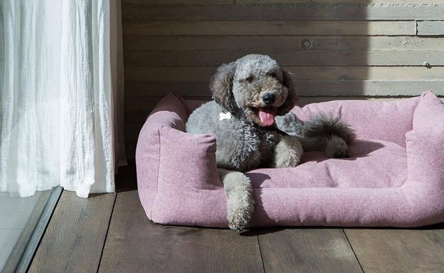 Fantail Snooze Ortopedisk Hundbädd - Iconic Pink