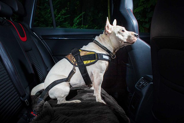 K9 IDC Bältesadapter