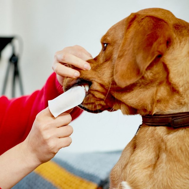 Vet's Best Teeth Pads 50-pack