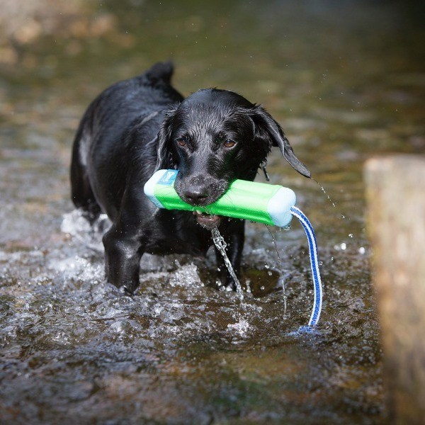 Amphibious Bumper Dummy
