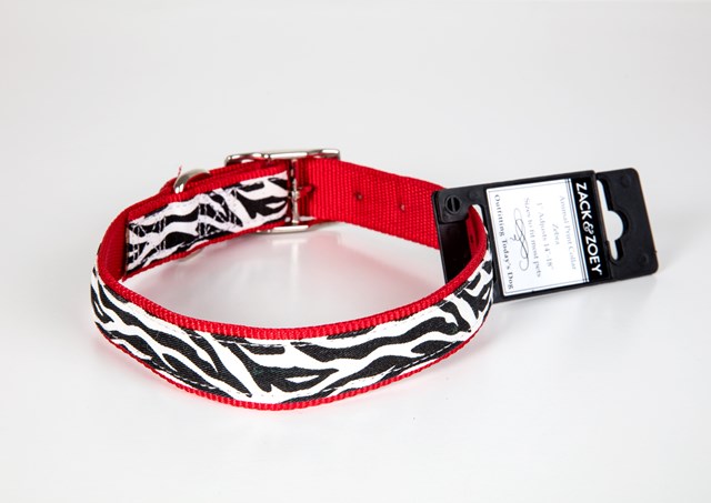 Zack & Zoey Animal Print Collar Zebra - XS