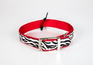Zack & Zoey Animal Print Collar Zebra - Xs