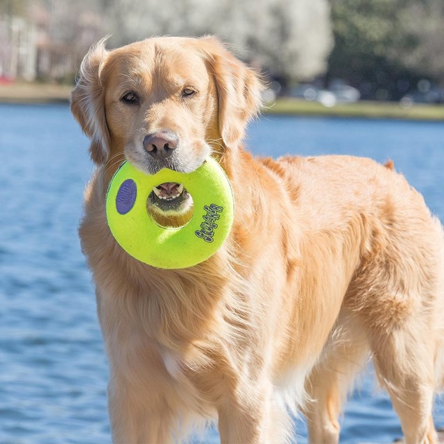 Kong Airdog Squeakair Donut