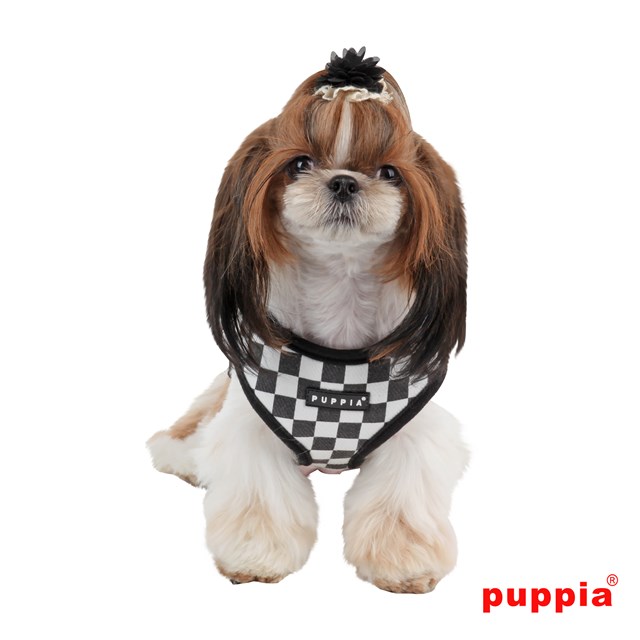 Grand Prix Black - Hundsele Medium