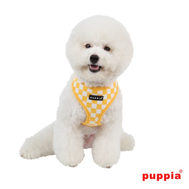 Grand Prix Yellow - Hundsele