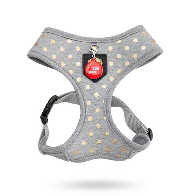 Modern Dotty Grey - Hundsele