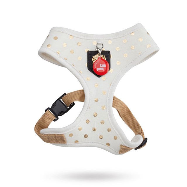 Modern Dotty Ivory - Hundsele - large