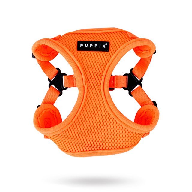 NEON SOFT Orange - Step-in Hundsele LARGE