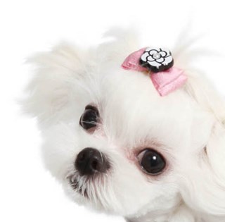 Rosha In Pink Hair Pin