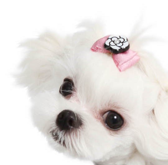 Rosha in Pink Hair Pin