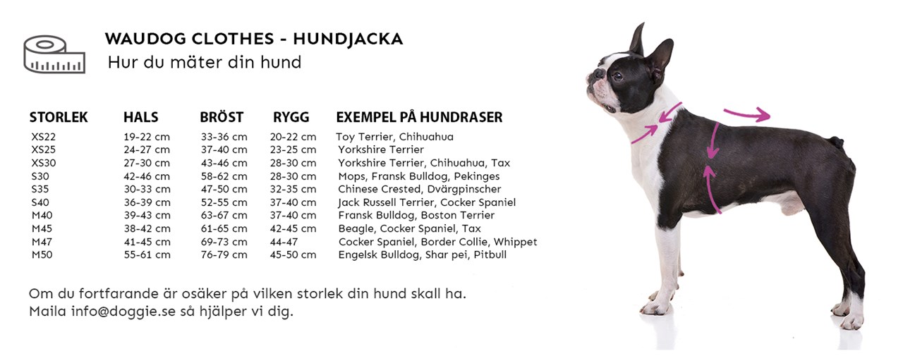 WAUDOG JACKA SVERIGE.jpg