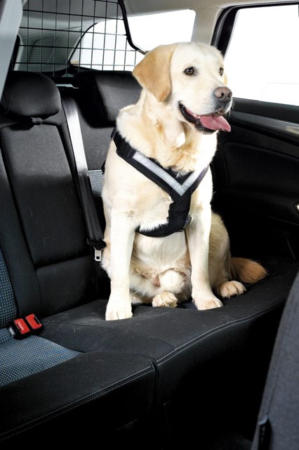 MiM All Safe Bilsele i bilen