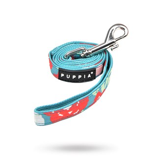 Alyssa Aqua - Hundkoppel
