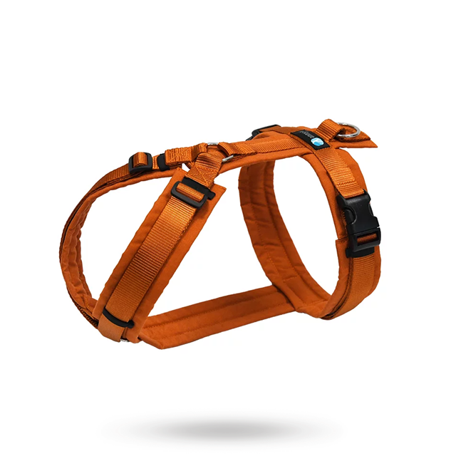 Anny-X Fun Hundsele Maple