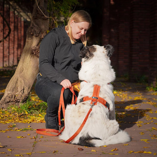 Anny-X Fun Hundsele Maple