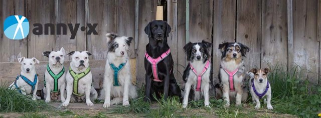 Anny-X Fun Hundsele Svart/Blå