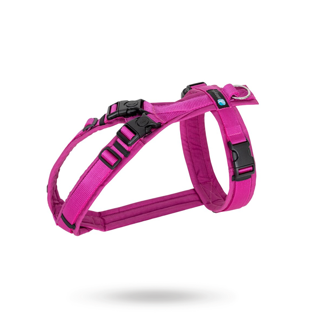 Anny-X Open Fun Hundsele Echinacea