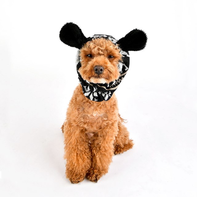 PRANCER SNOOD - Svart