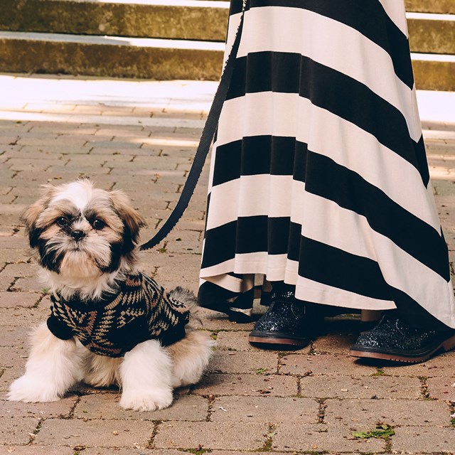 Aztec Retro - Hundtröja