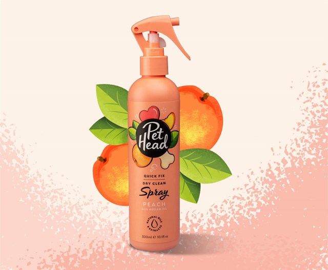 Quick Fix Spray Torrschampo 300 ml