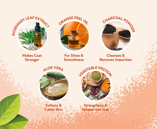 Ditch The Dirt Shampoo 300 ml