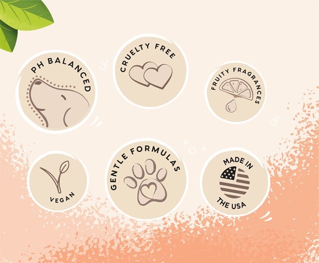 Ditch The Dirt Shampoo 300 ml