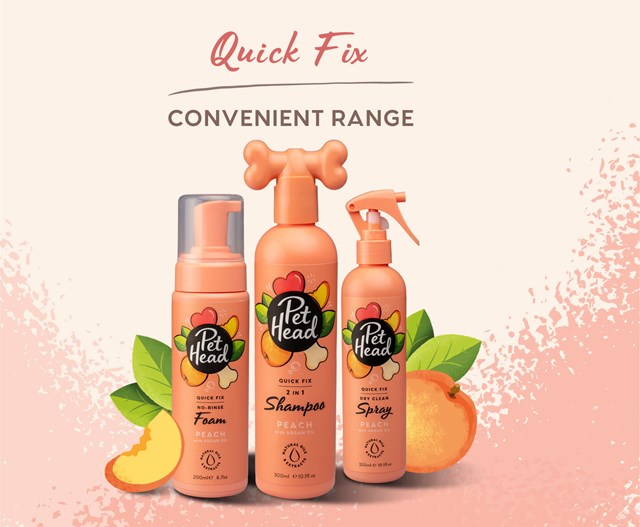 Quick Fix Spray Torrschampo 300 ml