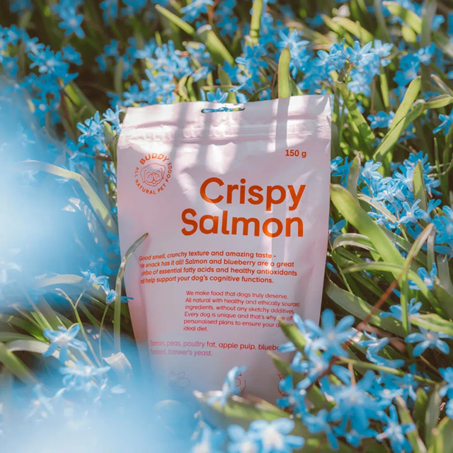 Buddy Crunchy Snacks Salmon & Blueberries 150g
