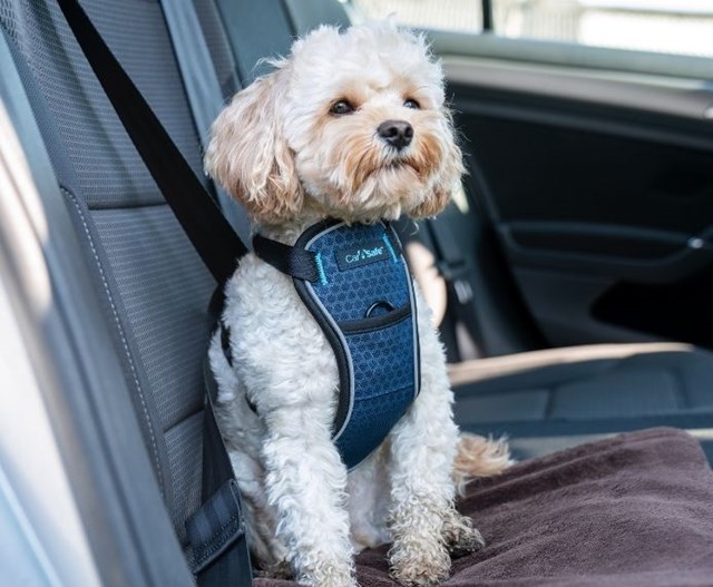 CarSafe Krocktestad Bilsele - Blå