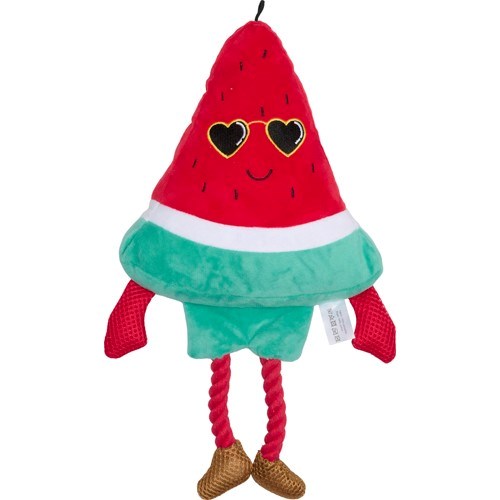 Companion Mr. Watermelon
